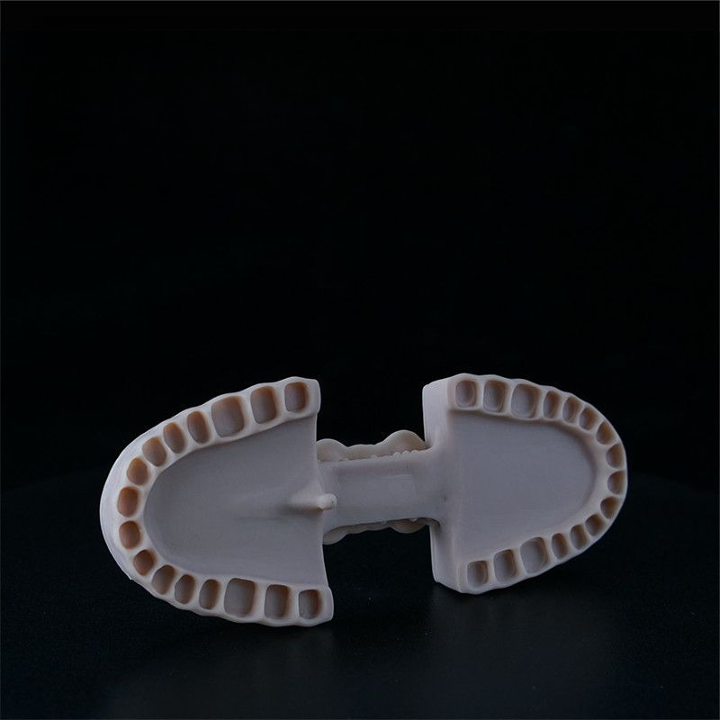 Dental Model Resin LCD Photocu - 3D Printing Orthodontics 리뷰 및 가격