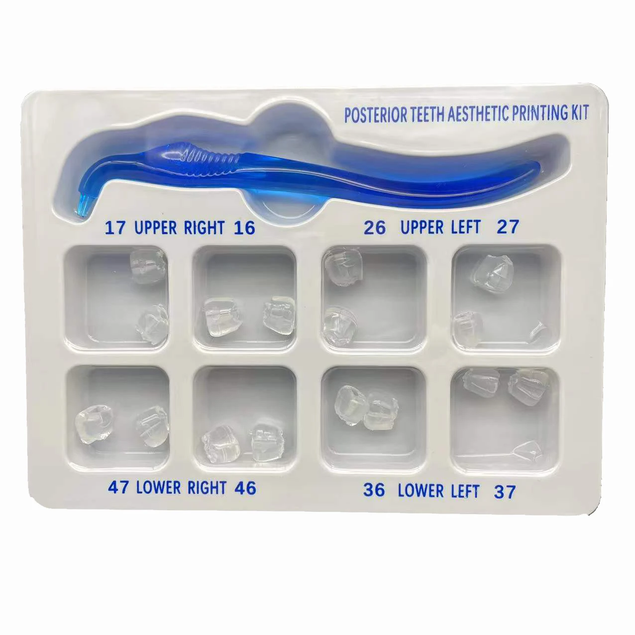 Dental Orthodontic Posterior T - 3D Printing Orthodontics 리뷰 및 가격