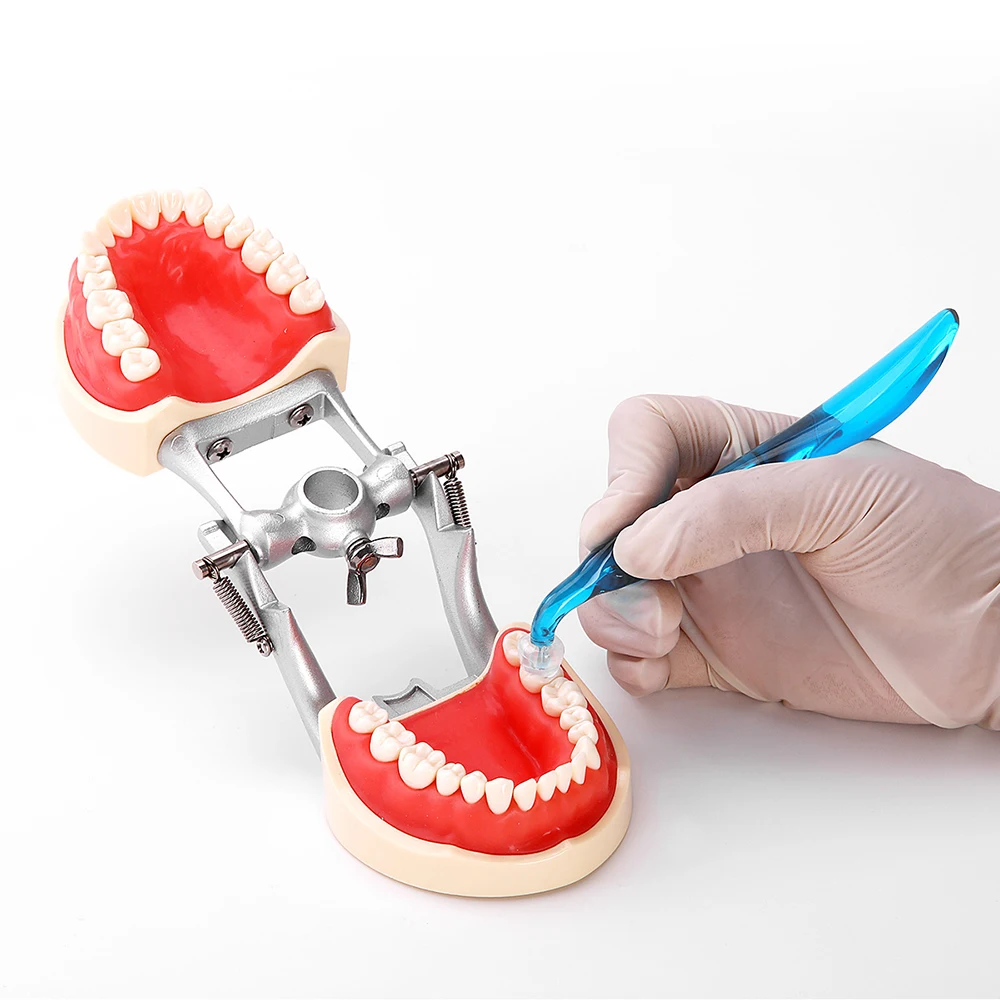 Dental Orthodontic Posterior T - 3D Printing Orthodontics 리뷰 및 가격