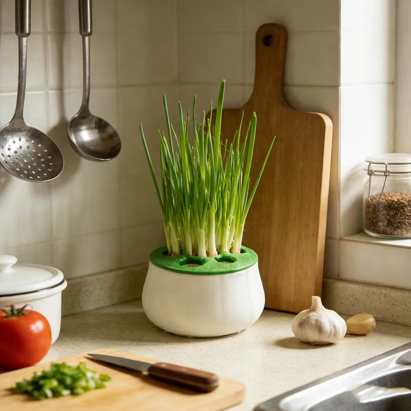 Green Onion Regeneration Plant - 3D Printing Online 리뷰 및 가격