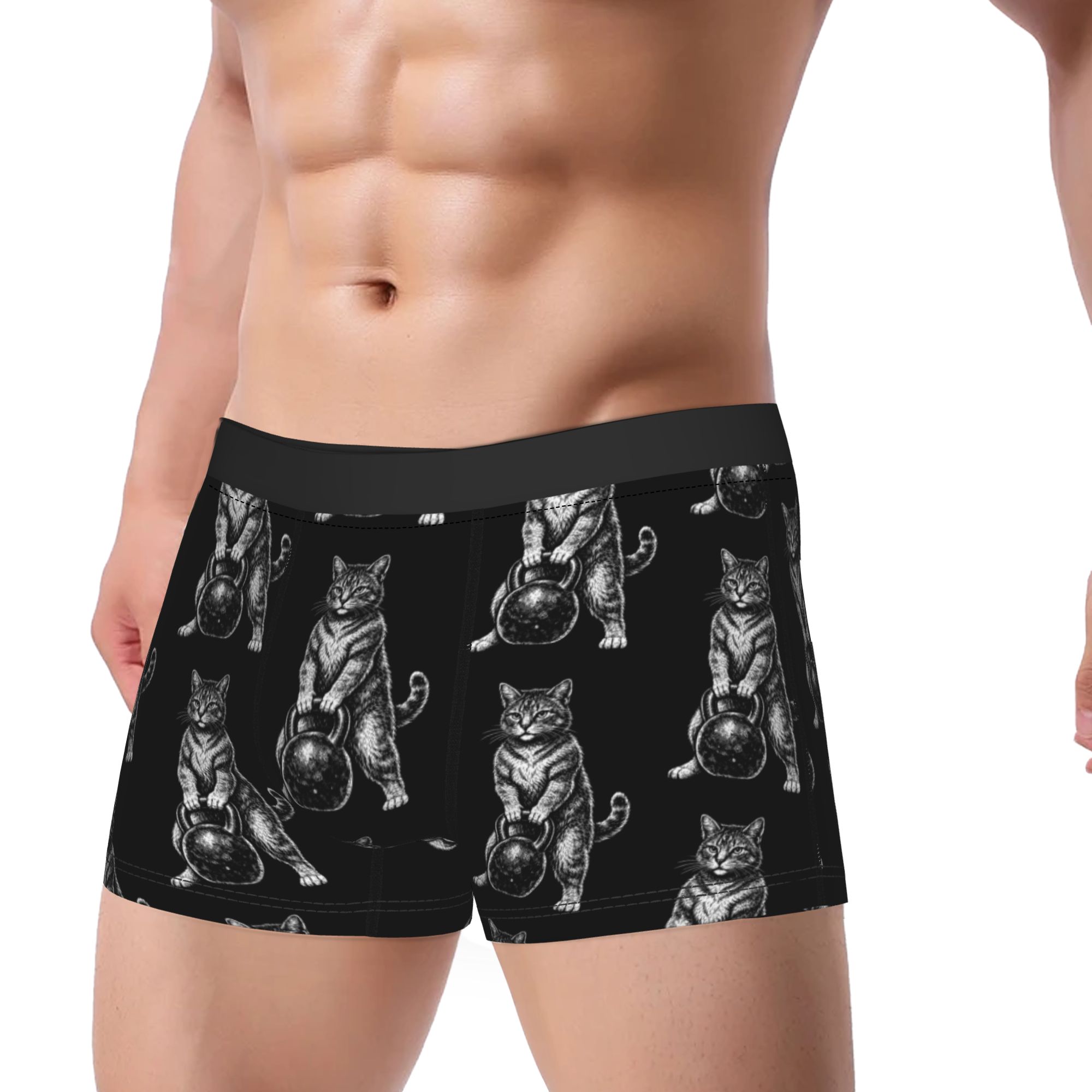 Funny Gym Cat Kettlebell Instr - 3D Printing Instructor 리뷰 및 가격